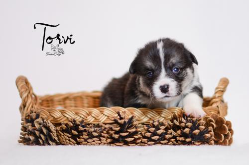 27355404 630cf014a9df678f9d255559c0dd5ea9 xl