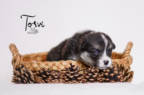 27355406 c2a000ea0af92886e5b2d099b2920931 xl