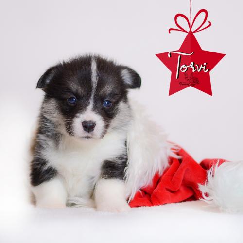 27360694 6c84df2a926fbd4b2d6d0ef2e557ef58 xl