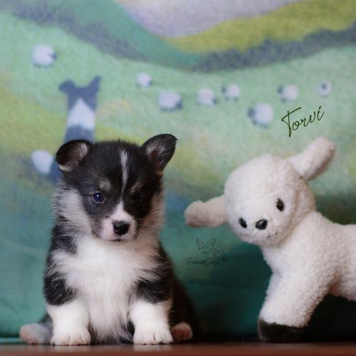 27360718 2c2dfefcfcd4f375a1d9ba1a21bdf4fd xl