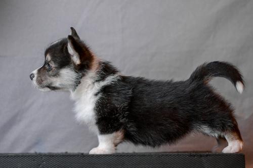 27360752 759a873bb5419b6adf3b5f1de81020e3 xl