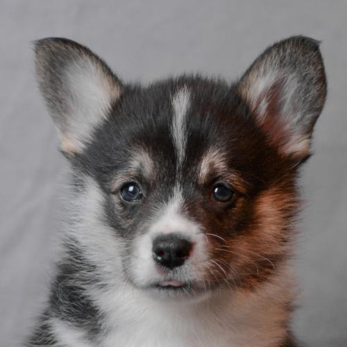 27360754 077dc634e8692e4f53fa15b473c5e4ad xl