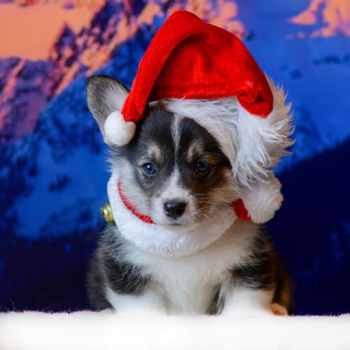 27360790 aa4fb96c33077a453dbe161c4c9e49ea xl