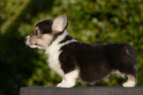 27363868 6172ce2fbd438b91fa48a6316c9adc48 xl