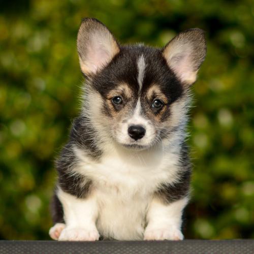 27363870 5ba27e309a10fa76c517e99dc527c413 xl