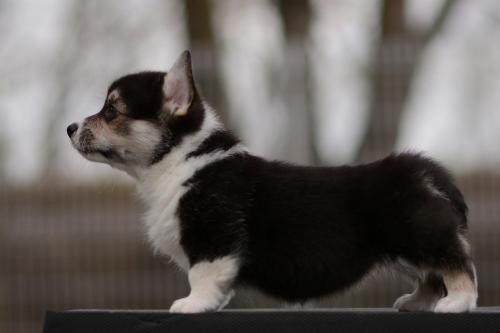 27363872 e8cf21dbdbc0cc55d6b680f65b5c2750 xl