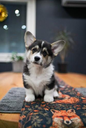 475022191 1015462973942950 7691660071825274222 n