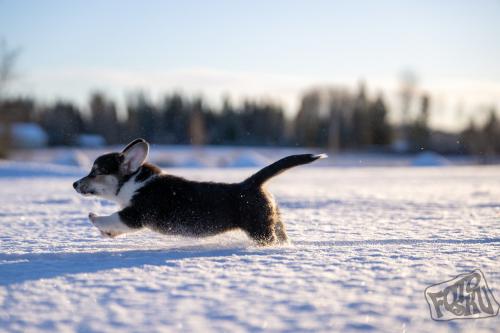 475786474 1021116146710966 709134915685905279 n