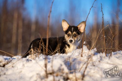 475793612 1021116093377638 473176658107591280 n