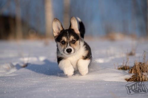 480729866 1034758458680068 3743445764425333188 n