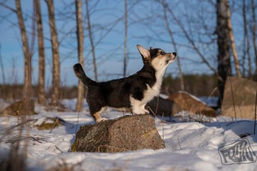 480864268 1034758408680073 630633326770581823 n