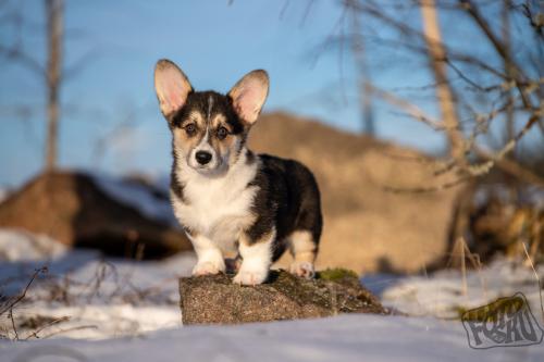 481081451 1034758385346742 7609443326604815849 n