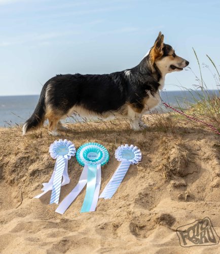 515791446 1382933549428644 6638394909390431606 n