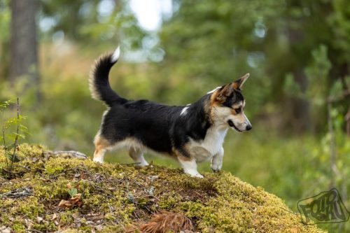 530861181 1170957781726801 544082066165637264 n