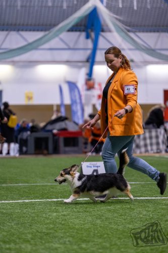 583193469 1249927760496469 7714770889084975068 n