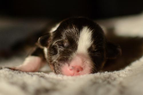 27352526 245b5e511a2745ebca92bb3f89565875 xl