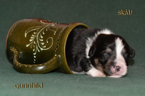 27352542 d77902d0bdc20edbc5318b9a5685dc73 xl