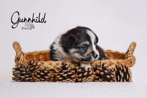 27355420 483ba23499d9909e690d312062d78e6a xl