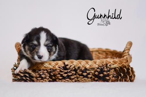 27355422 f2c7f659fd036c24347585fe663d2aee xl