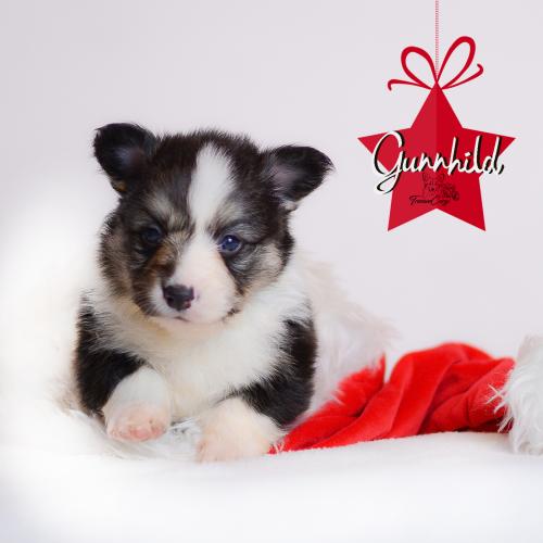 27360686 5c7a8316bb663f1bcbaf2c4ebfecef27 xl