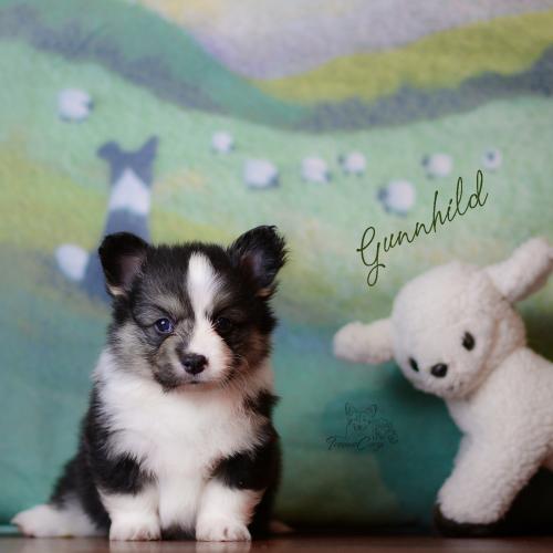 27360708 29a295e000c840a0c7034e759d17b1c8 xl