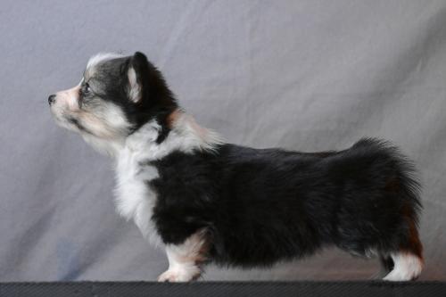 27360760 4fd1798413d7986e565312baef4dff6b xl