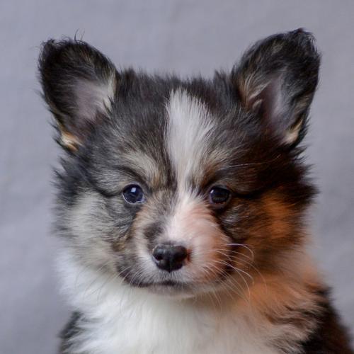 27360762 430b579e48682bed07bc7fb1d8094fd2 xl