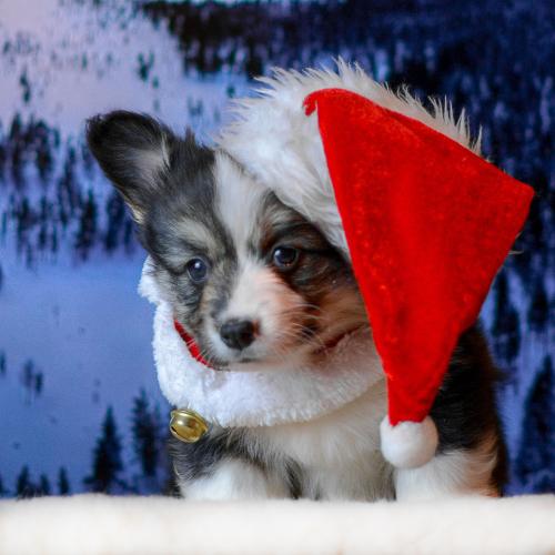 27360782 da89a1071d6d2b0c574991768f74bc9b xl