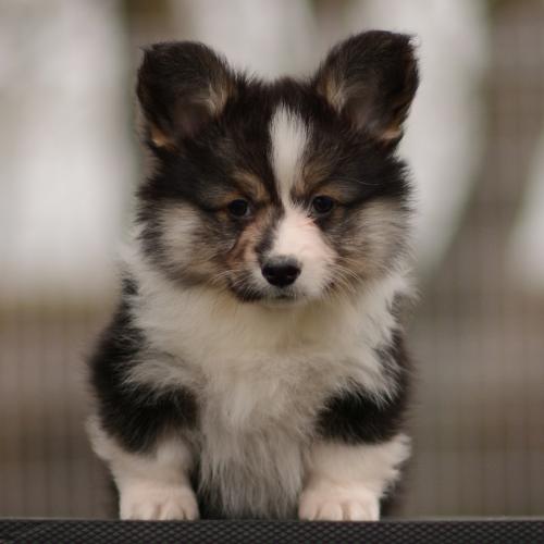 27363900 f84edca8787c0f5c9c49c93dcf863551 xl