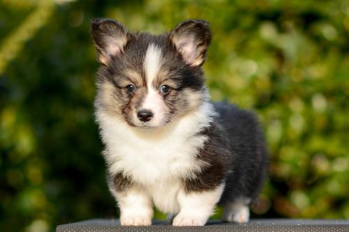 27363902 82376fa4522b0ad633a82fc9f2ae1b3c xl