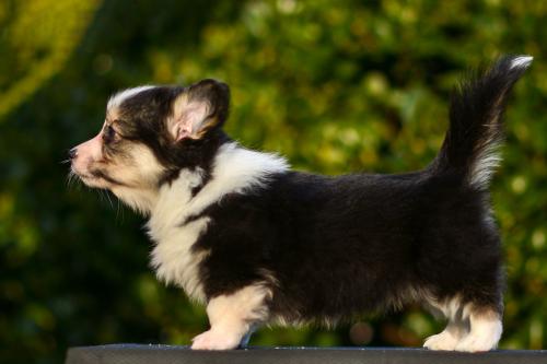 27363904 66b631bb1c989c413379c469f61efdaf xl