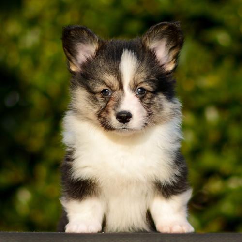 27363906 b0f02df1a20b8ade0beea047d45e1a93 xl