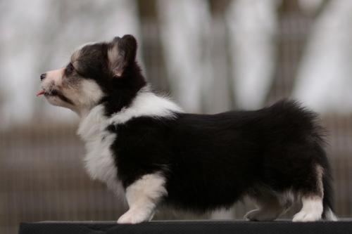 27363908 d290f768c1269f36606e92956b04bf0a xl