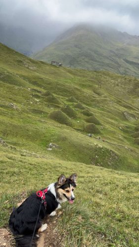 522132248 1765371954371022 1459883976598525085 n