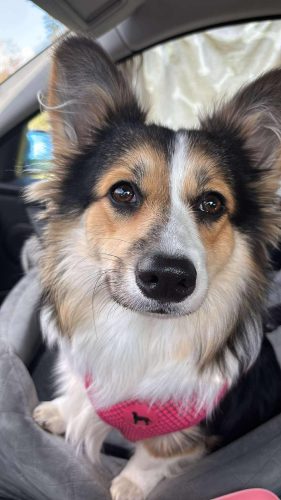 543671002 683482564754911 7154705844060792075 n