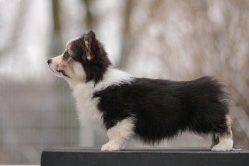 a-11-gunnhild-9wsCOE 3074