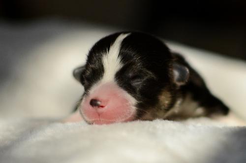 27352514 edd47dcf6114af71c25a74fed8f5ab8c xl