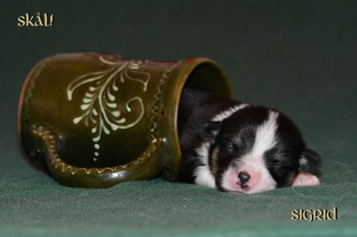 27352530 0f211e613ee3b9aa8a32bdebeddf2dd0 xl