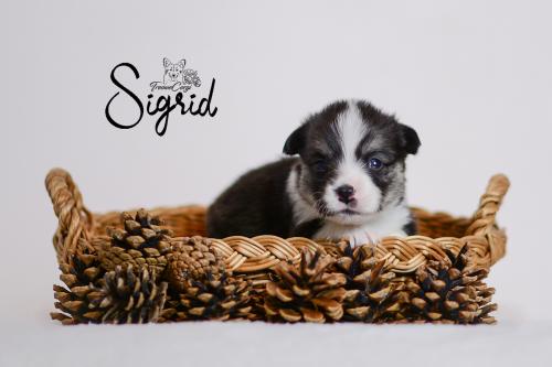 27355382 477d2a72b1f4626563ded2c07abc35ca xl