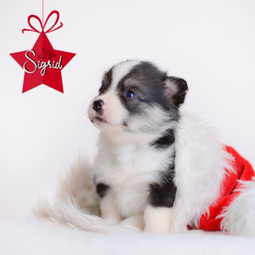 27360672 ce1ec9eacd56570ba6c571ea5baf2b84 xl