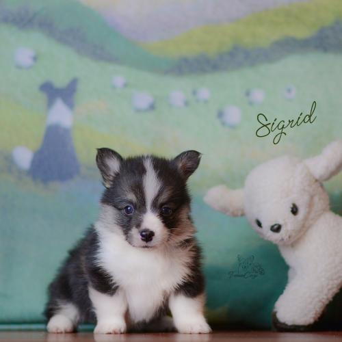 27360706 511fc9a9ee533fdc41a01533546a5f87 xl