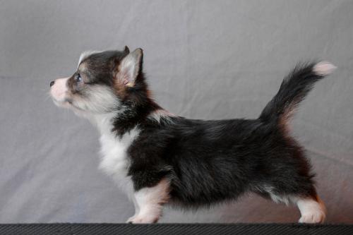 27360728 839e97e2b7399adebe593ed8c6332649 xl