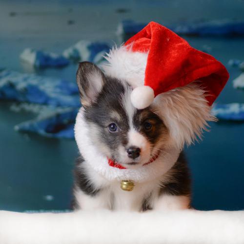 27360776 f3ae6f9e40d21d9545c446a7b0086cc6 xl