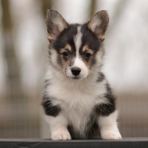 27363826 bd02940a393f358250d8f359b1f7eb6a xl