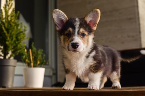 475247147 609458121945651 1889105654854017436 n