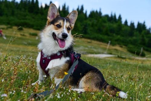 528262417 778917284596381 2433157047877482079 n