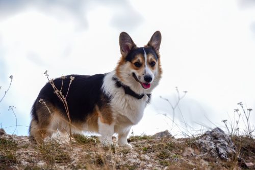 566617255 1158688959543639 7874675021636592353 n