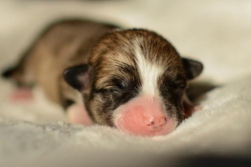 27352520 cb2536d528ab679d007e2420f206649d xl