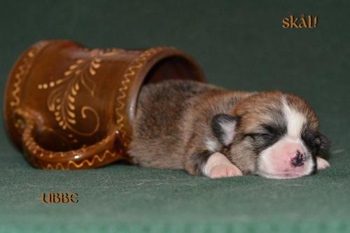 27352532 49bc3fbcafa09af2a084cb030546b0f4 xl