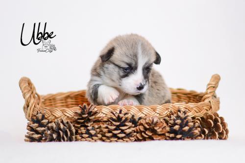 27355412 37601c080bdc12a931a38ead7994b89e xl